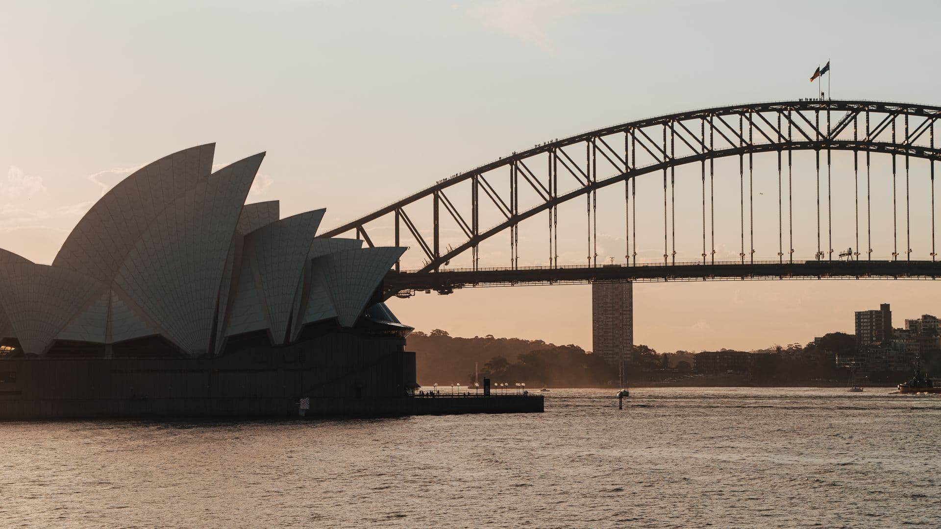 Sydney harbour at sunrise