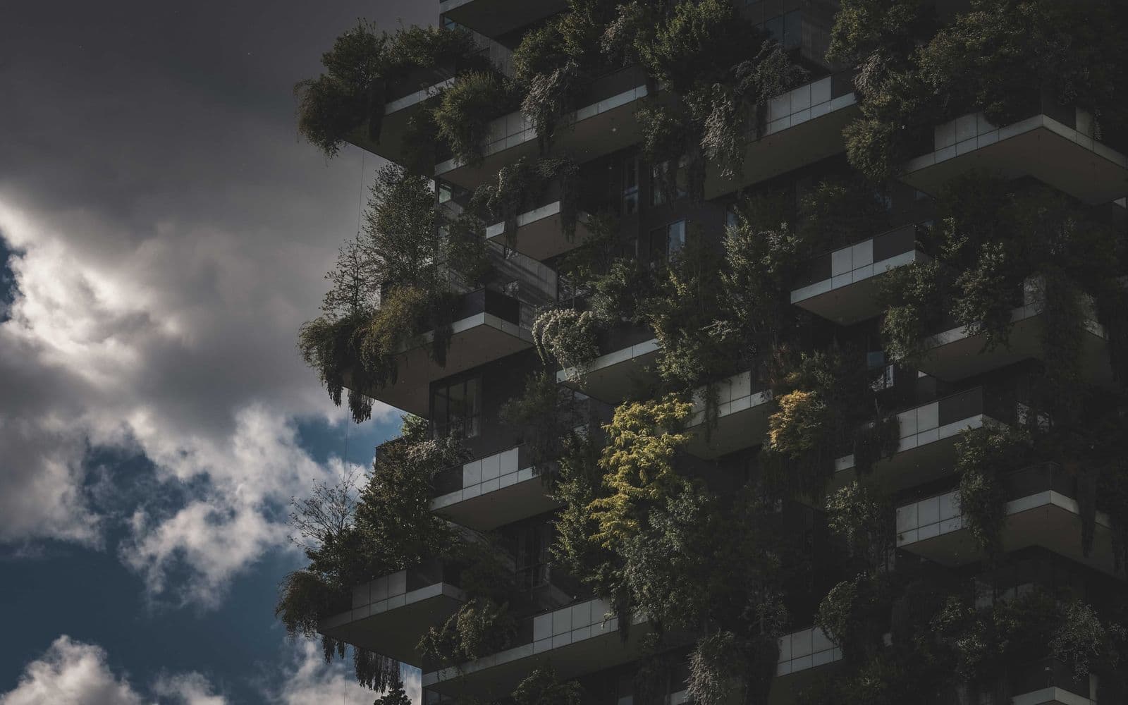A modern sustainable building with green architecture